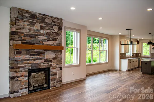 100 Bear Tree CV, Canton, NC 28716