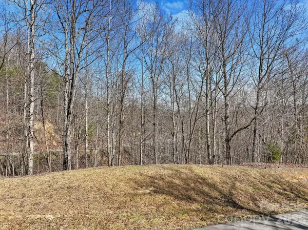 141 Sanctuary WAY #13, Marshall, NC 28753