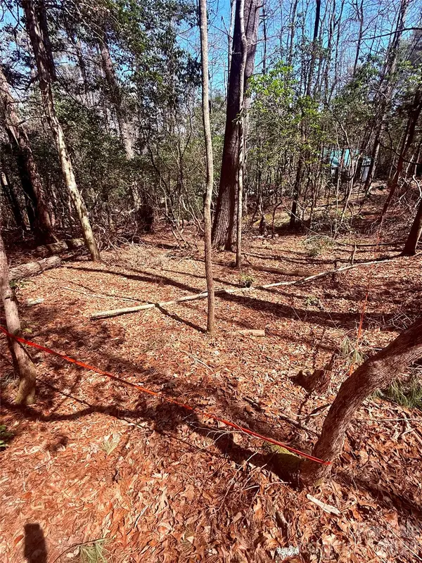 TBD Minerva LN #Lots 79,80,84, Sapphire, NC 28774
