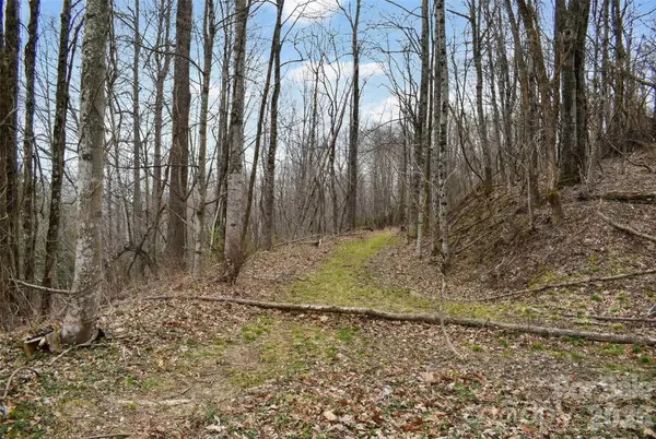 252 Pinewood CIR, Hendersonville, NC 28739