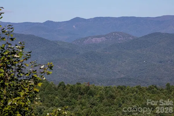TBD Rock Face RD #L298, Brevard, NC 28712
