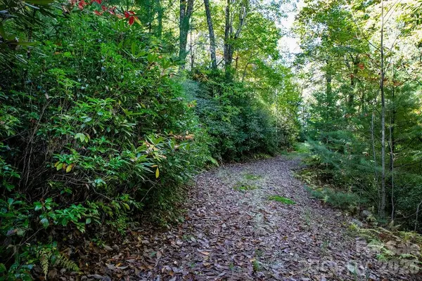 TBD Rock Face RD #L298, Brevard, NC 28712