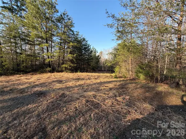 0 Shady Bark LN #40, Rutherfordton, NC 28139