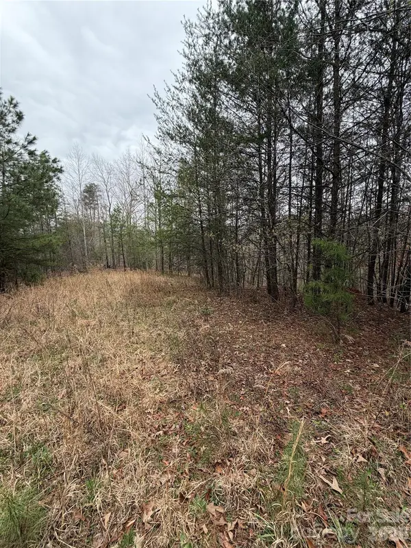 0 Shady Bark LN #40, Rutherfordton, NC 28139