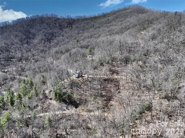 11 Taryn TRCE #16, Barnardsville, NC 28709