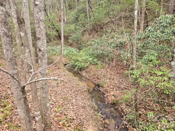 575 Shannons WALK, Lake Lure, NC 28746