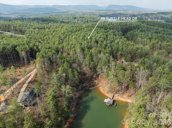 40 Turtle Head DR, Nebo, NC 28761