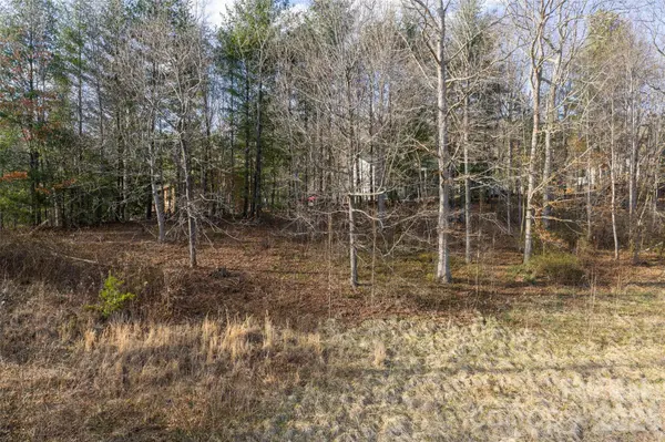 00 Noland Downs RD, Waynesville, NC 28785