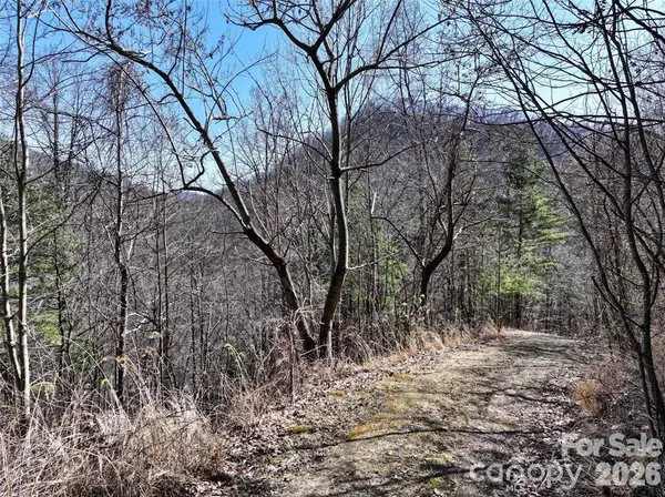 99999 Green Ridge Falls RD #17, Barnardsville, NC 28709