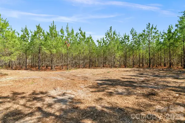 931 Charlie Johnson RD #11, Kershaw, SC 29067