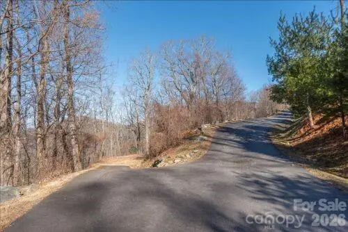 96 Castanea Mountain DR, Asheville, NC 28803