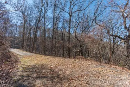 96 Castanea Mountain DR, Asheville, NC 28803