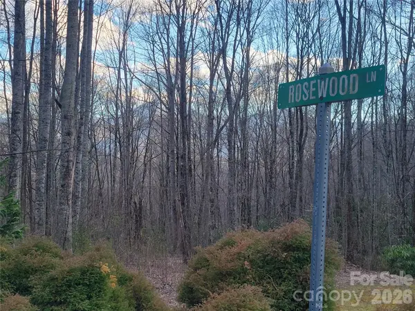 00 Rosewood LN #5, Maggie Valley, NC 28751