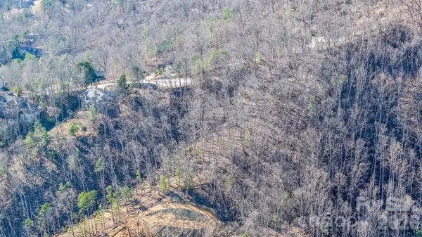 99999 High Bluff DR, Weaverville, NC 28787