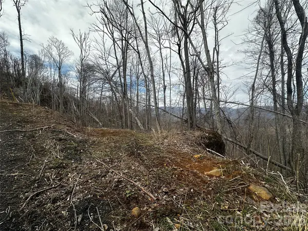 00 Bear Ridge RD, Bakersville, NC 28705