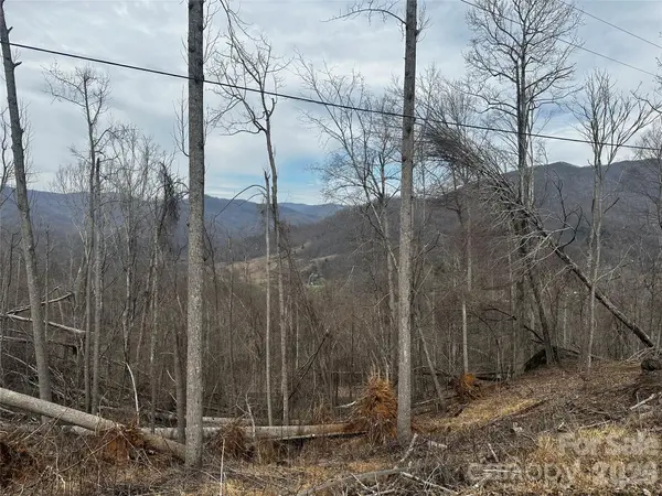 00 Bear Ridge RD, Bakersville, NC 28705