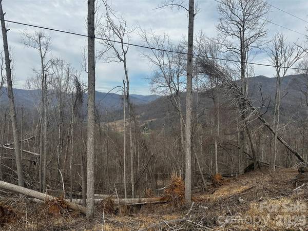 00 Bear Ridge RD, Bakersville, NC 28705