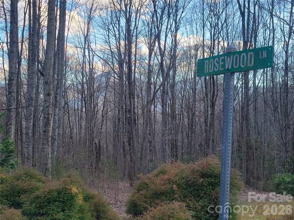 00 Rosewood LN #11, Maggie Valley, NC 28751