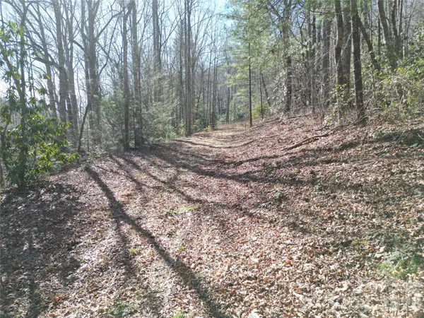 49 Reeds Creek RD, Fairview, NC 28730