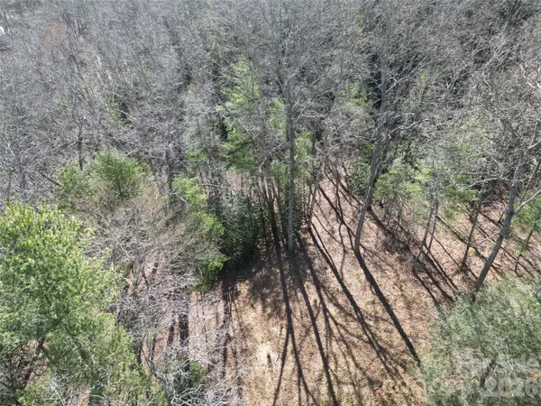 49 Reeds Creek RD, Fairview, NC 28730