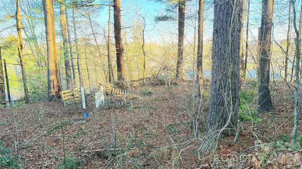 00 Toms Park CIR #21&22, Hendersonville, NC 28792
