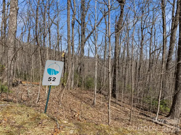 TBD Wild Magnolia WAY #52, Zirconia, NC 28790