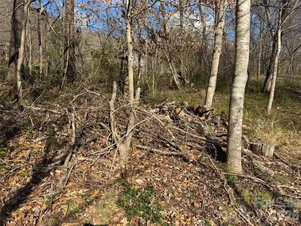 9999 Ox Creek RD, Weaverville, NC 28787