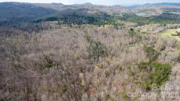 TBD Joe Branch RD, Nebo, NC 28761