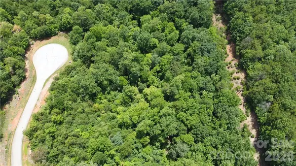 Lot 59 Bear Cliff WAY, Lake Lure, NC 28746
