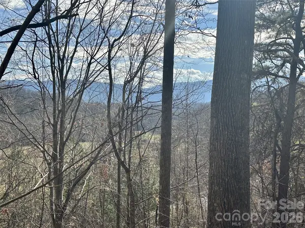 00 Queen Cove RD, Waynesville, NC 28785