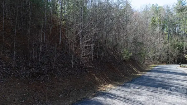 1342 High Trail DR #Lot 27-11, Nebo, NC 28761