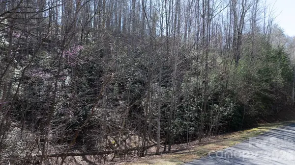 1342 High Trail DR #Lot 27-11, Nebo, NC 28761