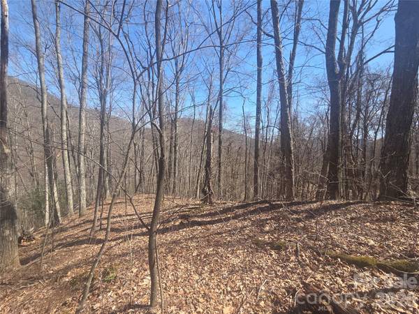 820 Chestnut Flats LN #4, Waynesville, NC 28786