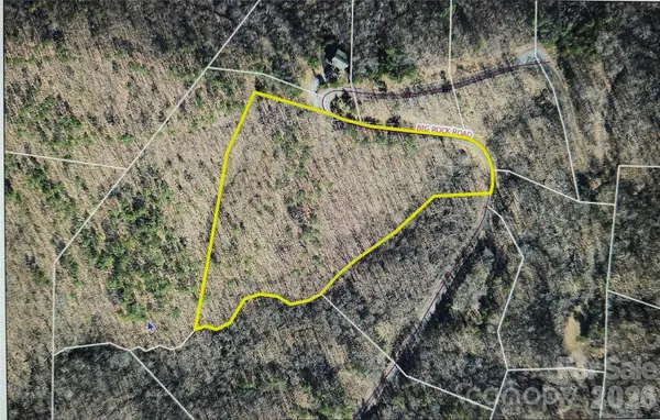 0 Big Rock RD #113, Bostic, NC 28018