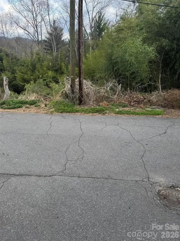 38 Belleair RD, Asheville, NC 28806