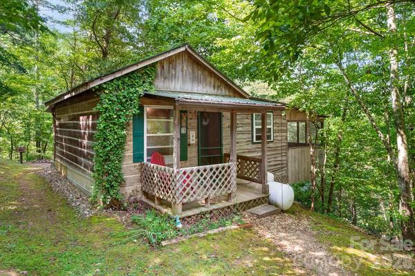 264 Rebel DR, Hot Springs, NC 28743