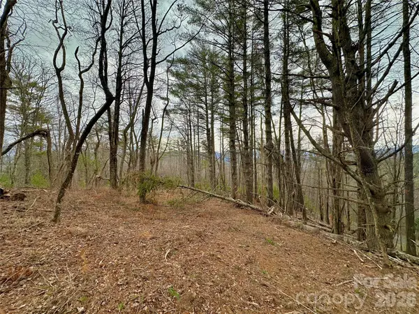 TBD mantera RDG, Sugar Grove, NC 28679