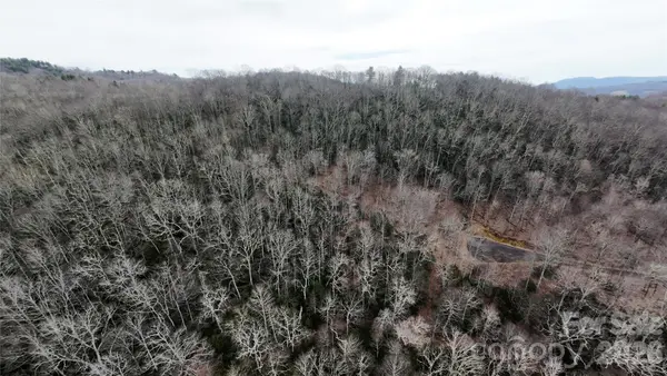 TBD Chardonnay CT #1, Newland, NC 28657