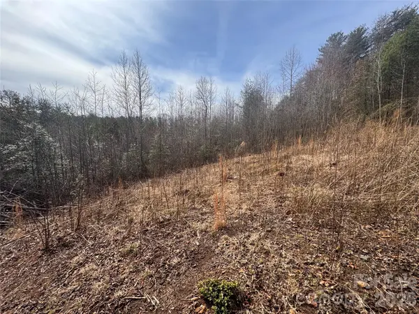 00 Billings Hill Church RD #56, Traphill, NC 28685