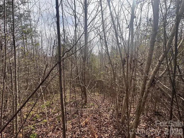 00 Billings Hill Church RD #56, Traphill, NC 28685