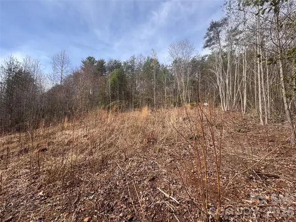 00 Billings Hill Church RD #56, Traphill, NC 28685