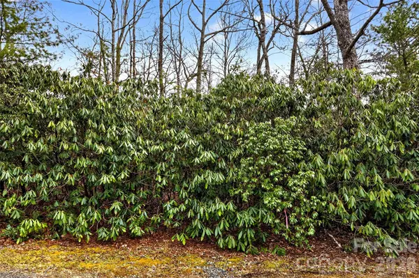TBD Red Bird RD, Spruce Pine, NC 28777