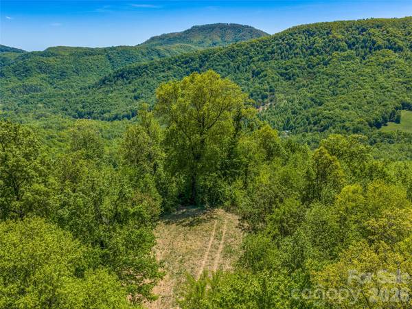 488 Warbler LN, Black Mountain, NC 28711