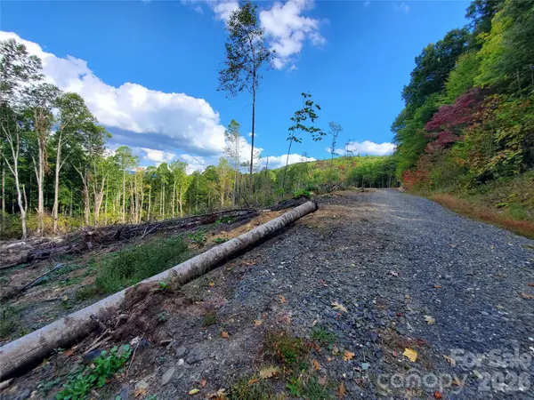 Lot 28 Parkwood Hill RD, Spruce Pine, NC 28777
