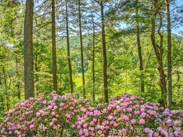 200 Robinhood RD, Asheville, NC 28804