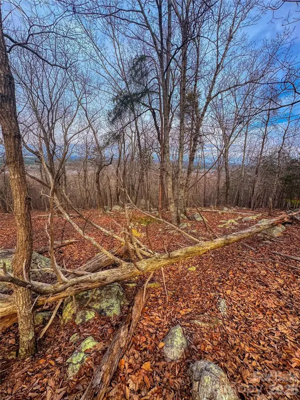 2243 Sierra Trace RD, Denton, NC 27239