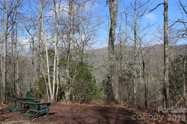 Lots 82 & 83 Waterdance DR, Tuckasegee, NC 28783