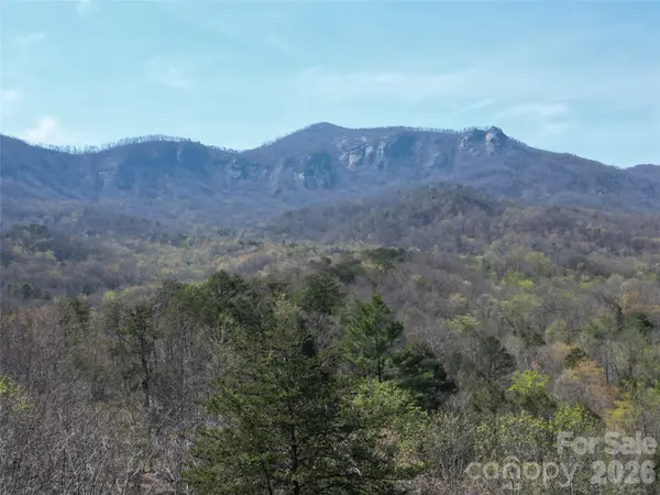 145 White Pine DR, Lake Lure, NC 28746
