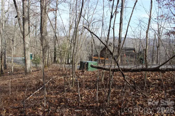 Lot 84 Waterdance DR, Tuckasegee, NC 28783