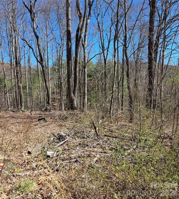 00 Altamont WAY, Newland, NC 28657